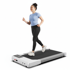 Tapis de Marche 2.5 HP Stable